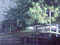 Image1